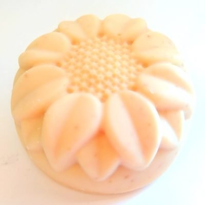 Yucca Shampoo Bar